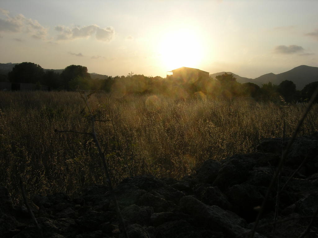 Finca Son Josep De Baix Cales de Mallorca Eksteriør bilde